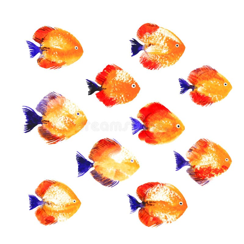 Set of watercolor discus fish royalty free illustration