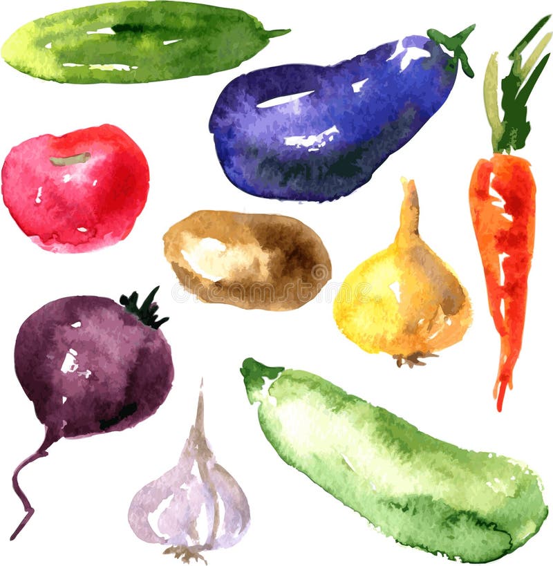 Set of watercolor drawing vegetables royalty free illustration