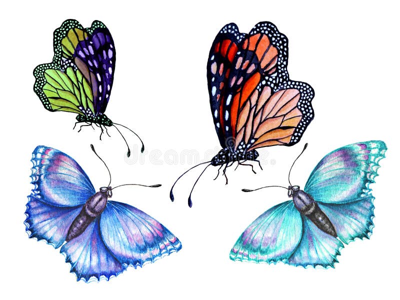 Set of watercolor illustrations depicting bright butterflies hand-painted. butterflies on white background.