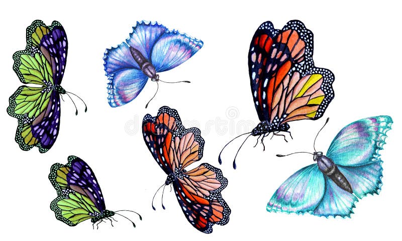 Set of watercolor illustrations depicting bright butterflies hand-painted. butterflies on white background.