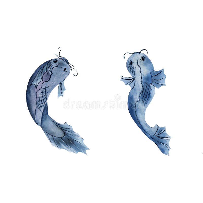 Set of watercolor two carps for design stock illustration Set of watercolor two carps for design stock illustration