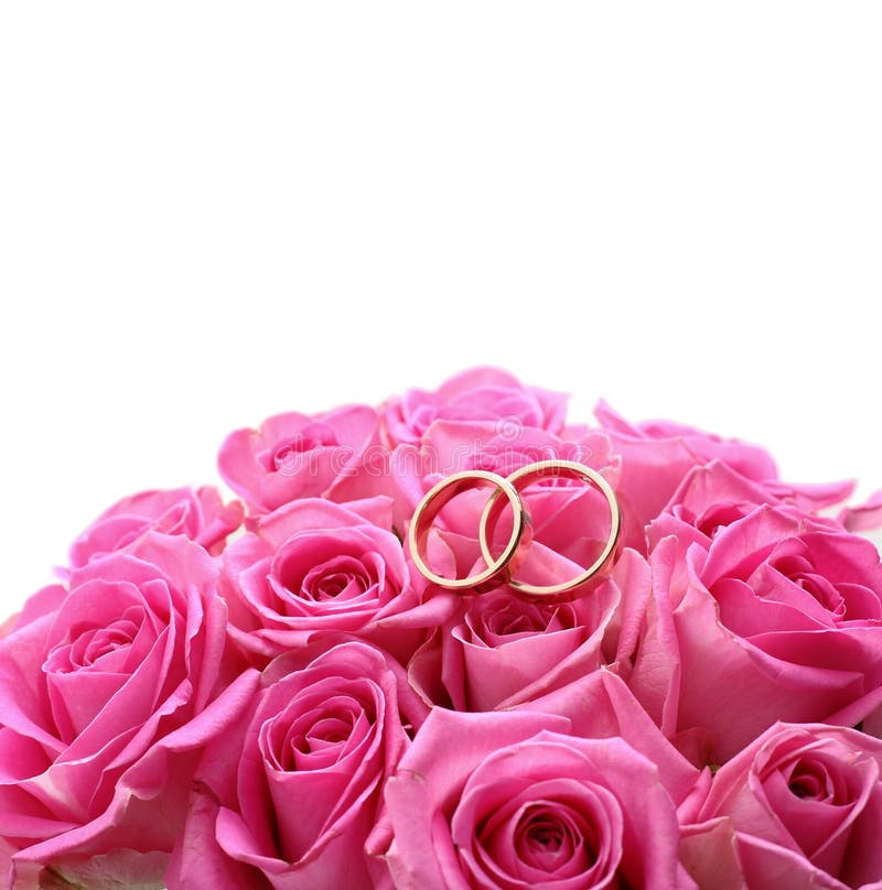 Set of wedding rings in pink rose taken close up stock image Set of wedding rings in pink rose taken close up stock image