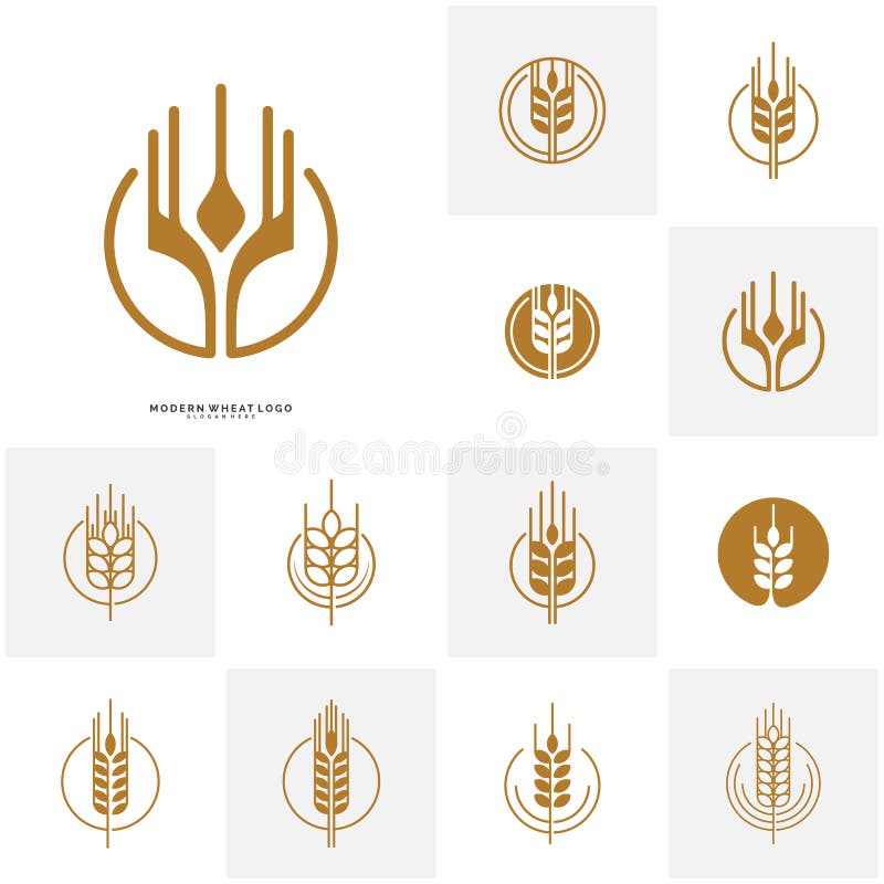 Set of Wheat Luxury Grain and bread labels. Nature wheat. Agriculture wheat Logo Template Vector vector illustration Set of Wheat Luxury Grain and bread labels. Nature wheat. Agriculture wheat Logo Template Vector vector illustration