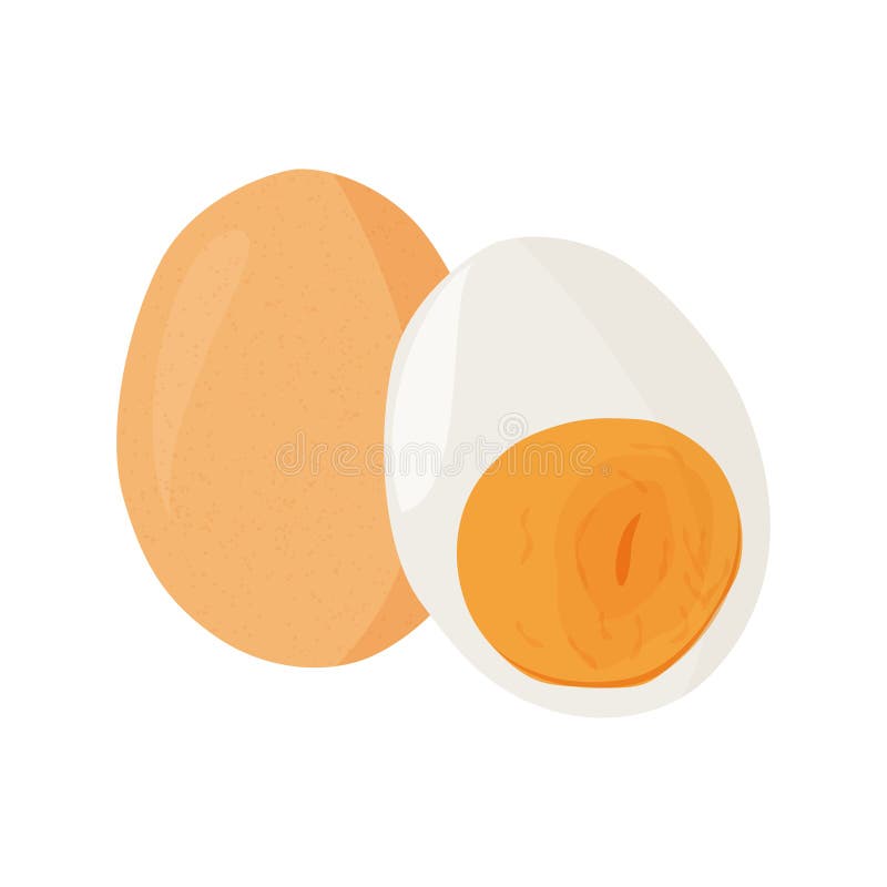 Cartoon egg isolated on white background. Set of whole and boiled half sliced eggs. Vector illustration royalty free illustration
