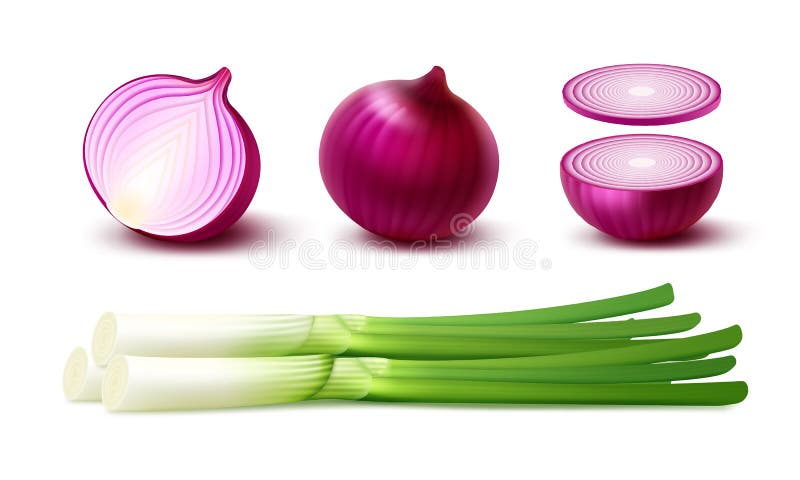 Set Whole and Sliced Red Onion Bulbs with Green Onions