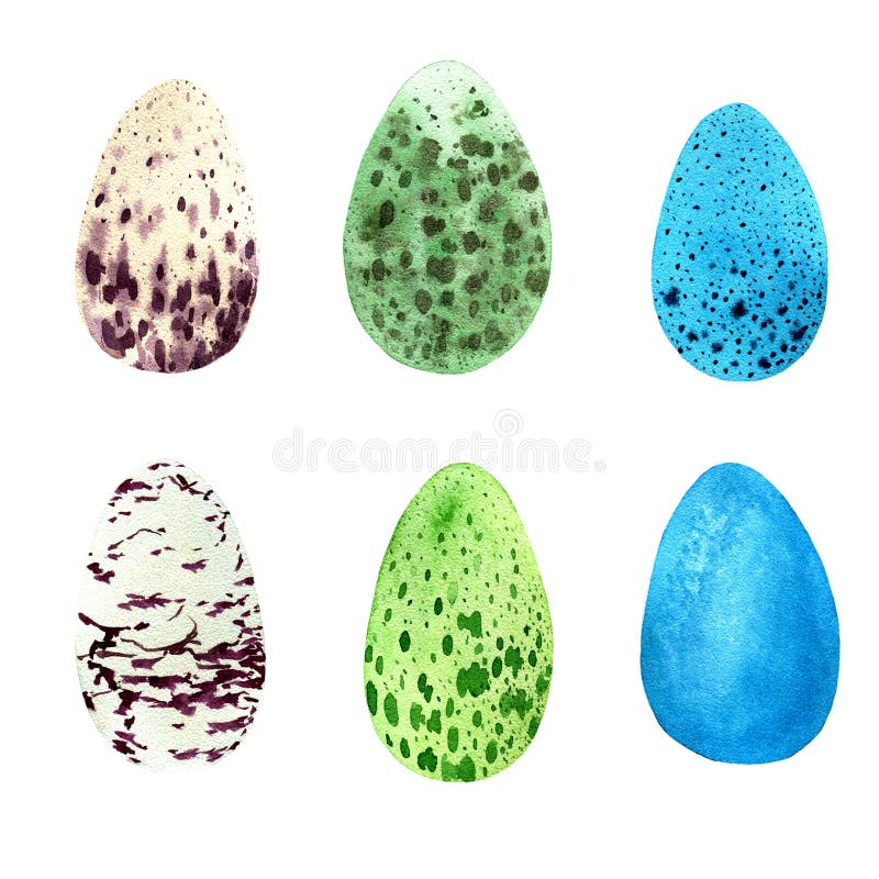 Set of Wild Bird Eggs, Watercolor Illustration Stock Illustration
