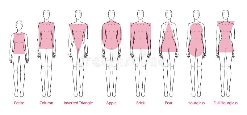 Set of female body shape types - triangle, pear, hourglass, apple