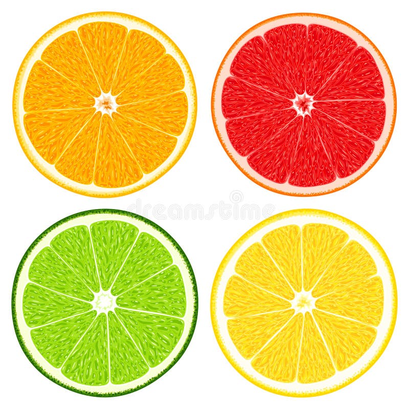 Set świeże soczyste pokrojone cytrus owoc pomarańcze, cytryna, wapno i grapefruitowy -