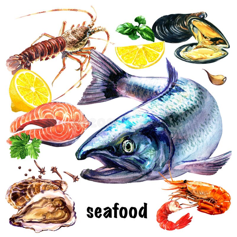 Set świeży owoce morza, atlantyckiego łososia ryba, mussels, łososiowy stek, gotowana krewetka i cytryna, rakowi, ostrygowi, denn ilustracji Set świeży owoce morza, atlantyckiego łososia ryba, mussels, łososiowy stek, gotowana krewetka i cytryna, rakowi, ostrygowi, denn ilustracji