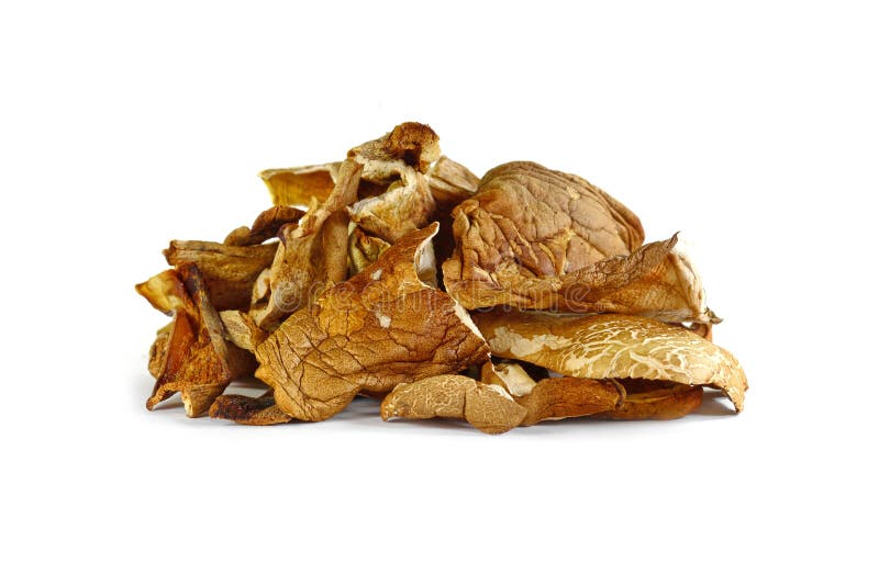 Seta secada del boleto en el fondo blanco foto de archivo