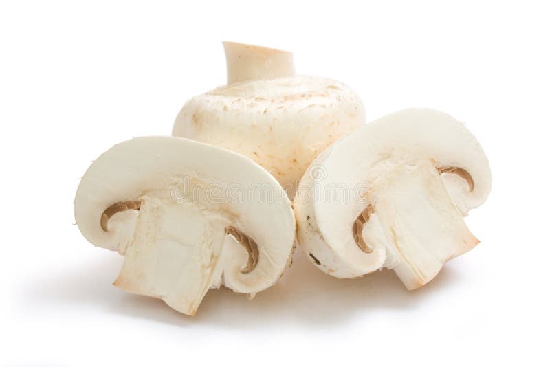 Setas silvestres imagen de archivo