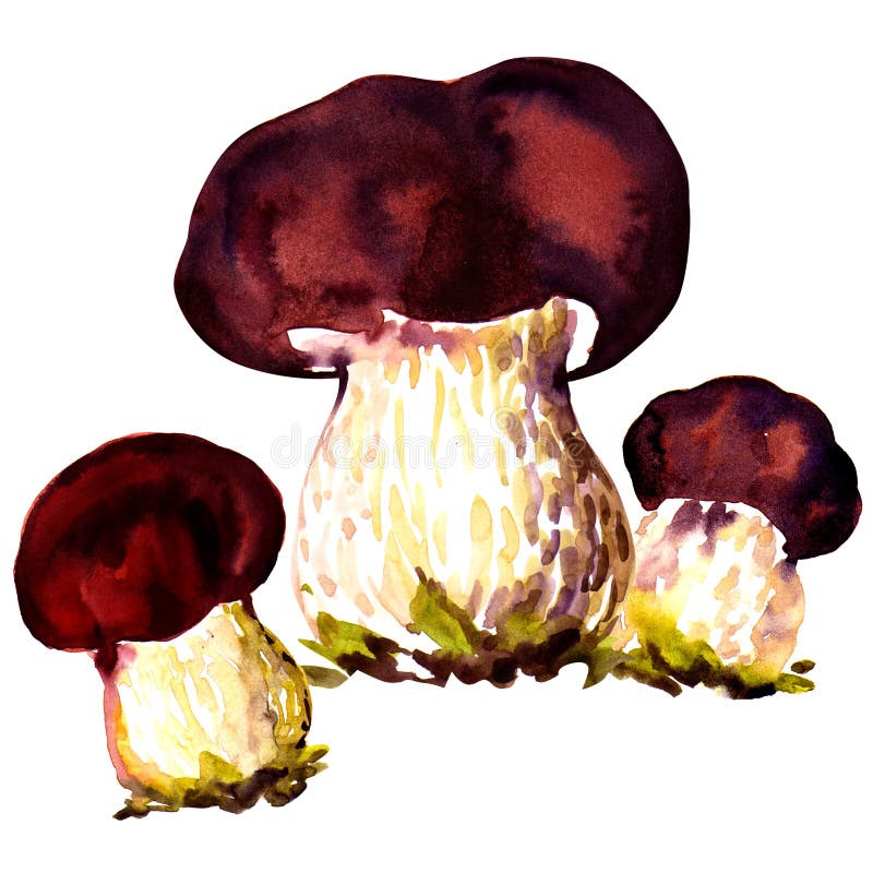 Boletos. Cep en fondo blanco stock de ilustración