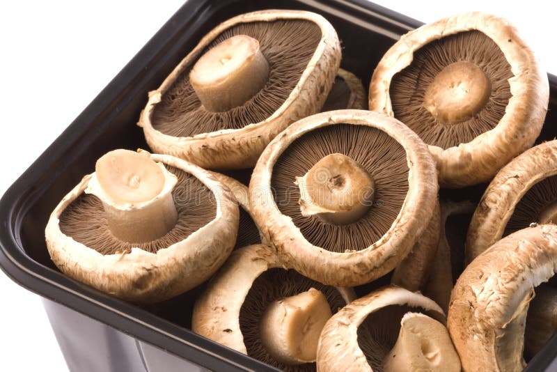 Setas De Portobello Aisladas Imagen de archivo Imagen de cocina