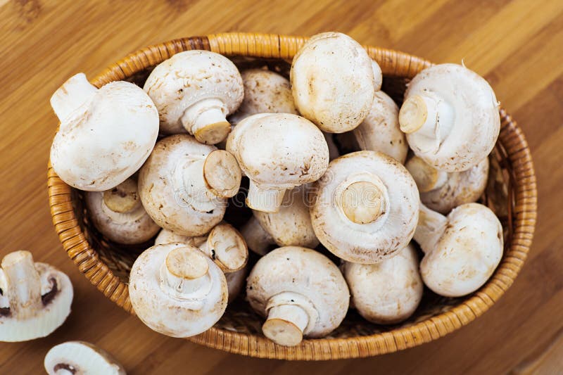 Champiñones fotos de archivo libres de regalías