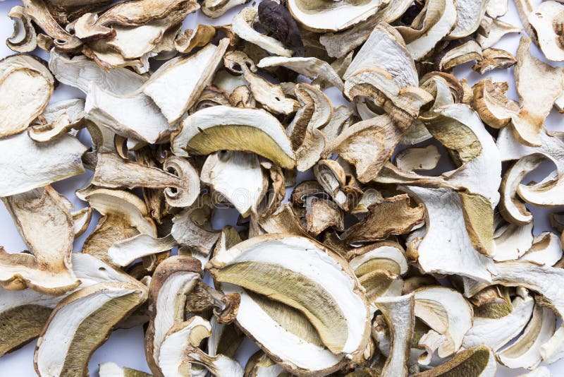 Setas secadas del boleto fotos de archivo