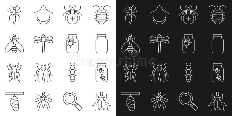 Setează gândacii pentru gândaci de gândaci de linie într-un borcan de sticlă, libelulă și pictogramă. vector royalty free illustration