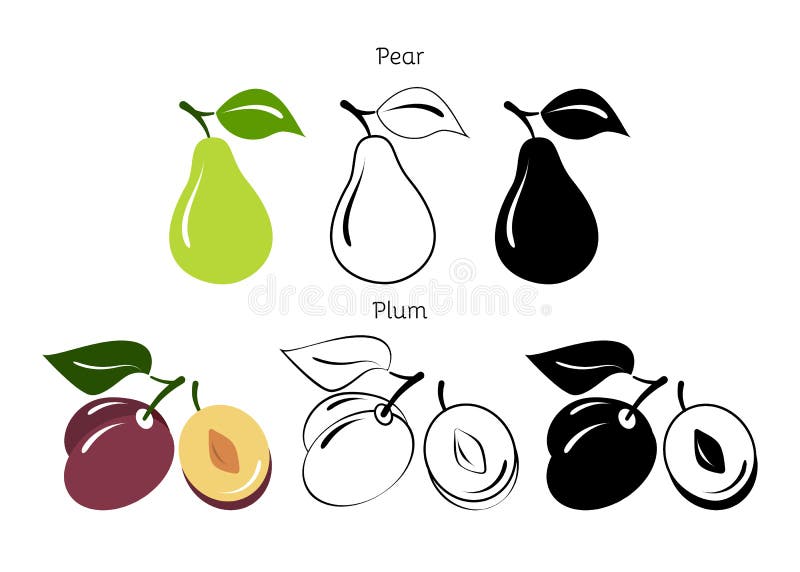 Seth pears and plums on a white background