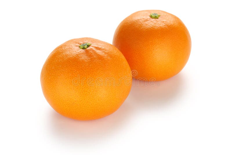 Mandarine Setoka