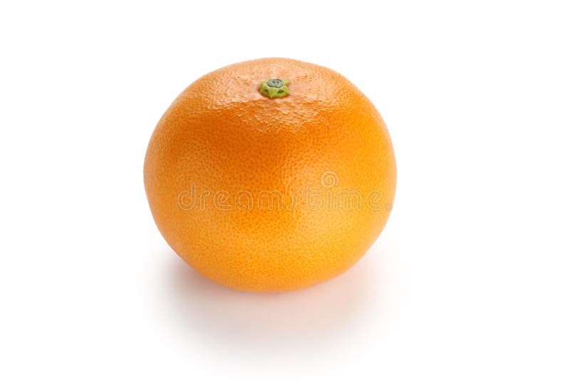 Setoka orange , japanese high quality citrus fruit royalty free stock images