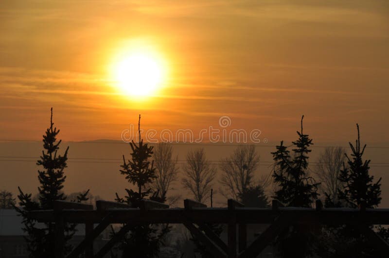 Apusul soarelui deasupra vârfurilor copacilor de conifere, soare portocaliu cald, apus stock image