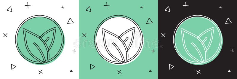 Setzen Sie das Symbol für Teepflanzen auf weißem und grünem schwarzem Hintergrund.. Teeblätter. Vektor lizenzfreie abbildung