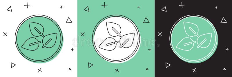 Setzen Sie das Symbol Teepflanze auf weißem und grünem schwarzem Hintergrund.. Teeblätter. Vektor stock abbildung