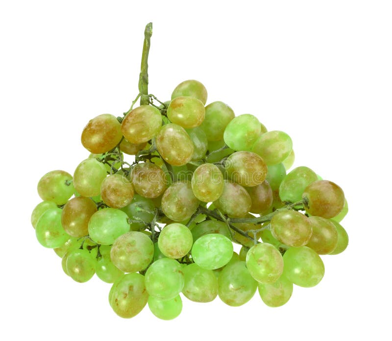 Raisin vert simple photo stock. Image du blanc, automne 21179238