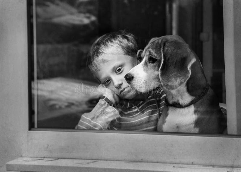 Seul petit garçon triste avec le chien près de la fenêtre images libres de droits Seul petit garçon triste avec le chien près de la fenêtre images libres de droits