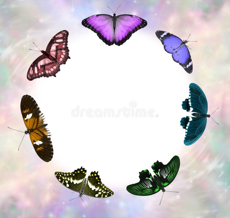 7 different species of butterfly arranged in a circle with a white centre for messages and pale coloured ethereal border frame. 7 different species of butterfly arranged in a circle with a white centre for messages and pale coloured ethereal border frame