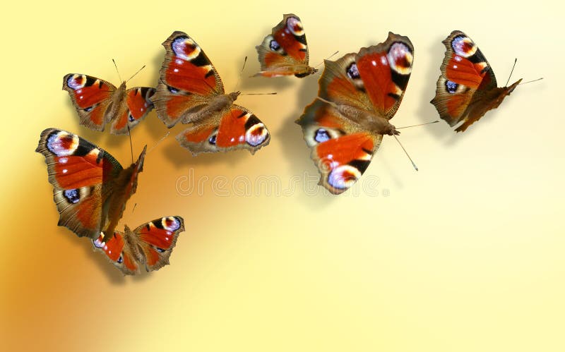 Sette farfalle colorate in giallo-arancione di sfondo, che volano intorno.