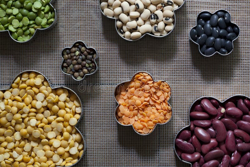 Seven Different Dried Legumes Stock Photo Image of french, variety