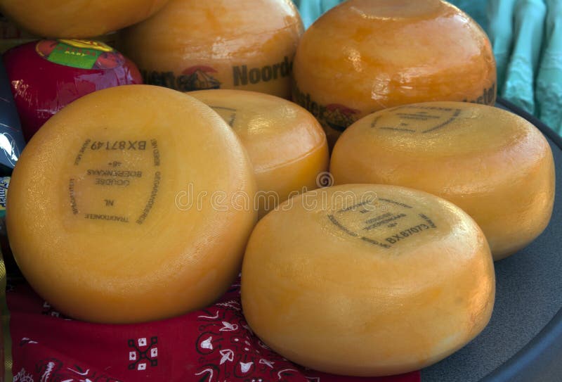 Seven Dutch Gouda Cheeses on the Market Editorial Stock Photo Image