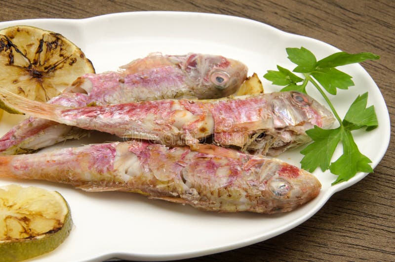 Several fresh mullet grilled royalty free stock photo