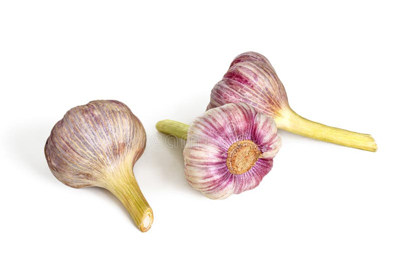Several Garlic Bulbs on a White Background Stock Photo Image of green