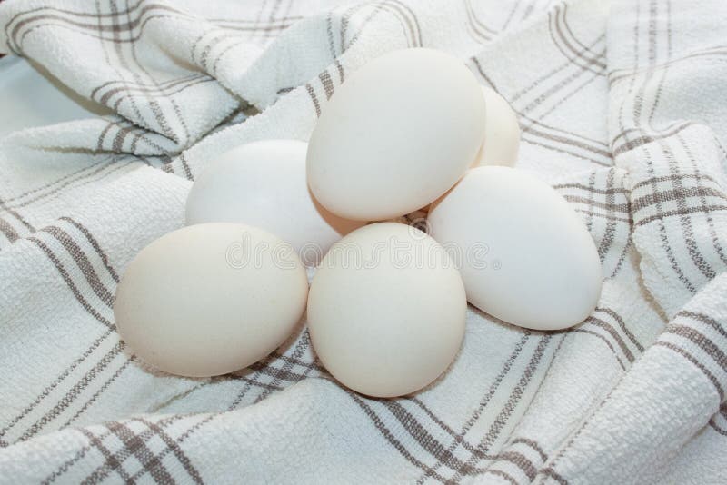 .Several Huge White Chicken Eggs Stock Image Image of brown, farm