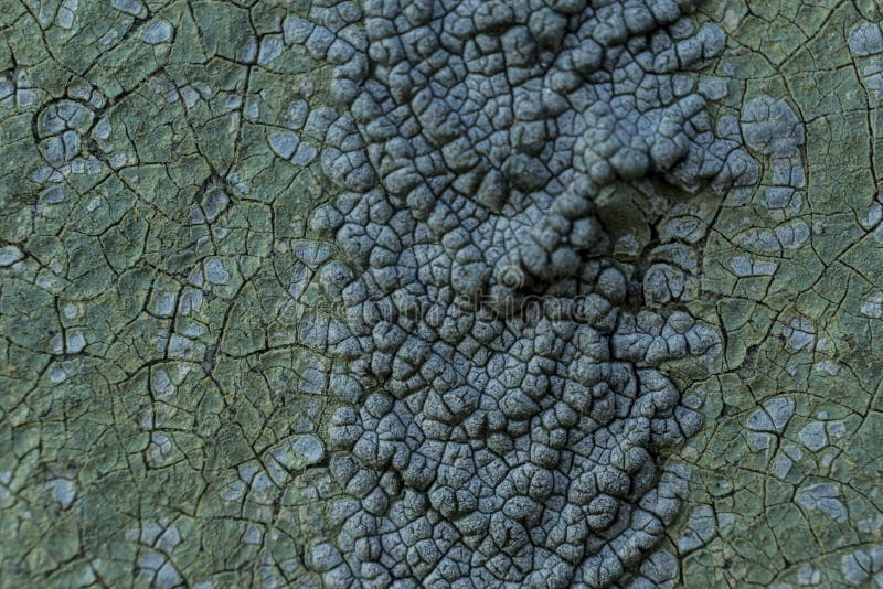 Macro photo. Texture of an old blue paint. stock photos Macro photo. Texture of an old blue paint. stock photos