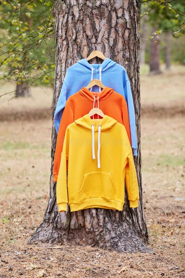 Several Multicolored Hoodies Hang on Hangers in a Tree Stock Image