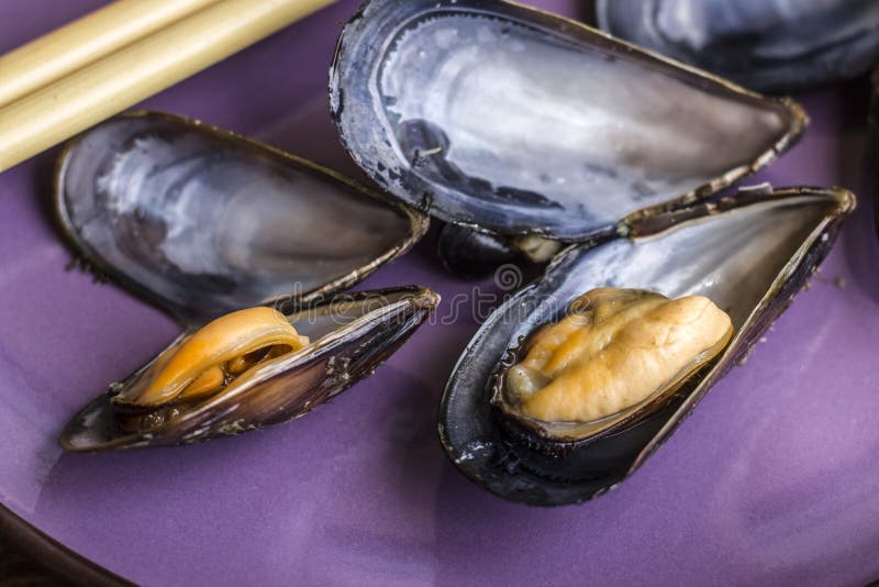 Open Mussel Shells on the Plate Stock Photo Image of mussel, seafood
