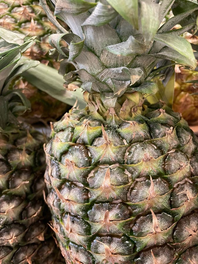 Several Pineapples for Sale. Stock Photo Image of nature, yellow