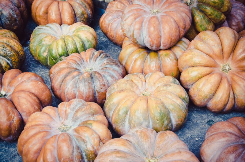 Several Pumpkins Stock Photo Image Of Pumpkin Pumpkins 69145990 several-pumpkins-stock-photo-image-of-pumpkin-pumpkins-69145990