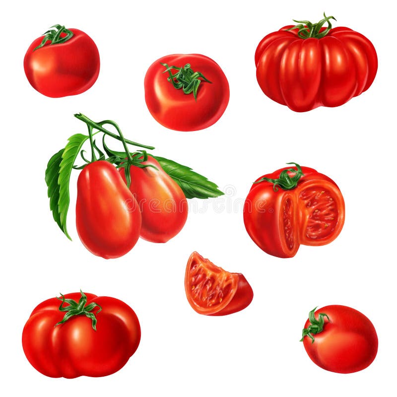 Several tomatoes of different kind.