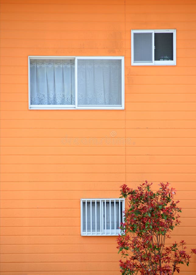 Many Windows on a Bright Orange Wall with Plants Stock Photo Image of
