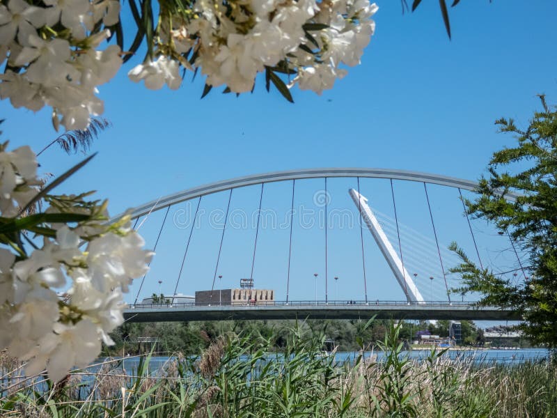 Sevilla, Spanien Barqueta-Brücke von Sevilla Brücke über Fluss Guadalqvivir Andalusien lizenzfreie stockbilder Sevilla, Spanien Barqueta-Brücke von Sevilla Brücke über Fluss Guadalqvivir Andalusien lizenzfreie stockbilder
