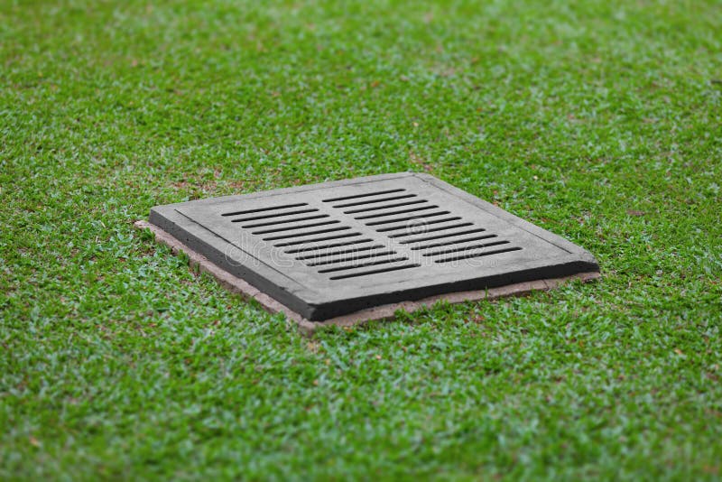 Sewer Grate on the Lawn Drainage for Heavy Rain Stock Image Image