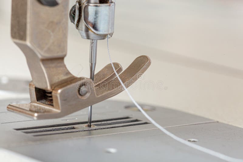 Sewing Machine Needle with Thread and Fabric Stock Photo Image of