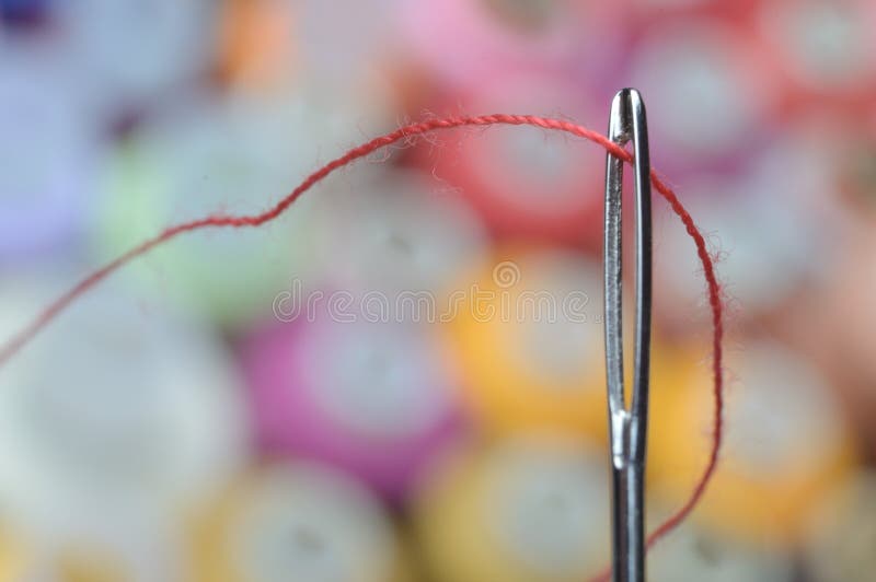 A Sewing Needle with Red Thread through the Eye of the Needle. Macro Stock Photo Image of