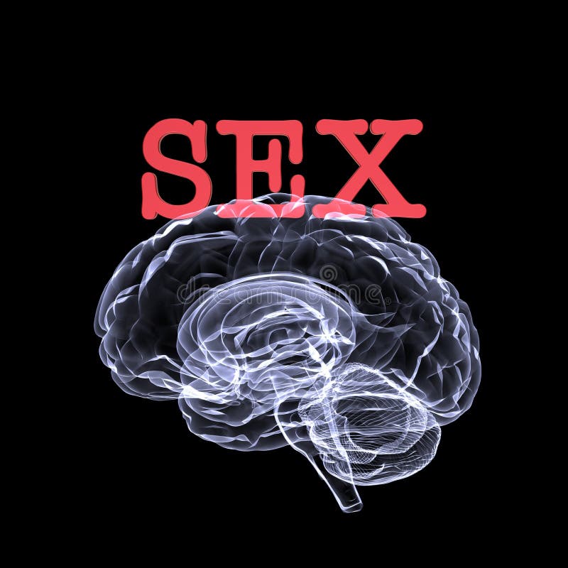 What Happens To Your Brain On Sex