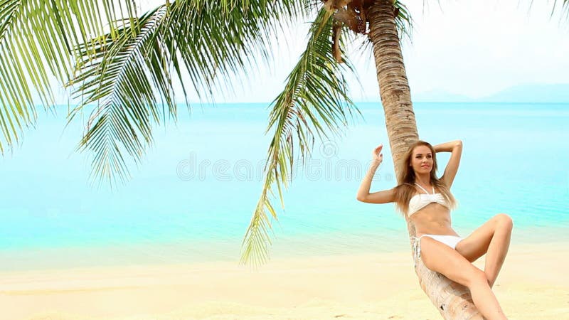 Sexig kvinna som ligger på palmträdet på stranden