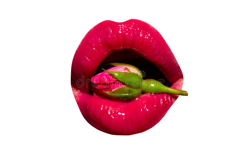 Sexiga kanter steg H?rliga kvinnliga kanter f?r n?rbild med ljus r?d makeup Perfekt ren hud, sexigt smink Spa st?ende royaltyfri fotografi Sexiga kanter steg H?rliga kvinnliga kanter f?r n?rbild med ljus r?d makeup Perfekt ren hud, sexigt smink Spa st?ende royaltyfri fotografi