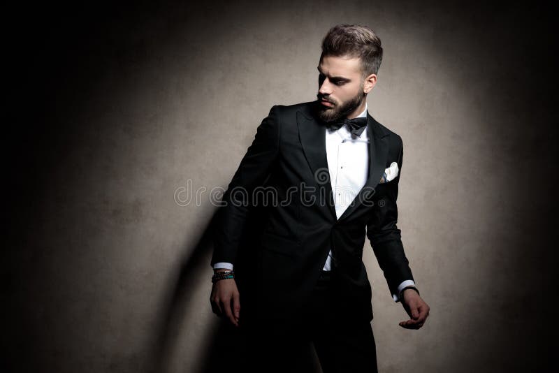 Elegant Guy In Tuxedo Posing In A Fashion Light Stock Image - Image of ...